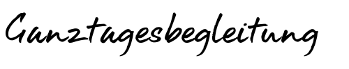 Ganztagesbegleitung